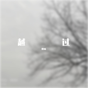 越过