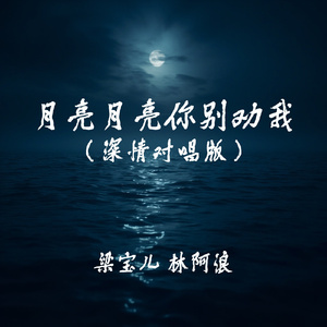 月亮月亮你别劝我(深情对唱版)