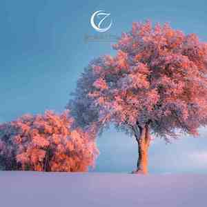 唯美意境 (钢琴曲｜助眠｜催眠)