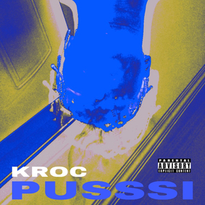 PUSSSI
