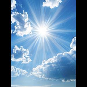 Brilliant Sunshine