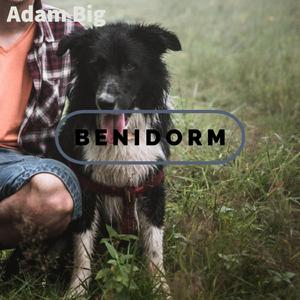 Benidorm