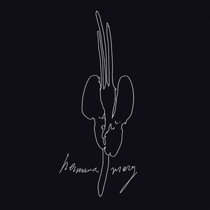 El asesino amnésico