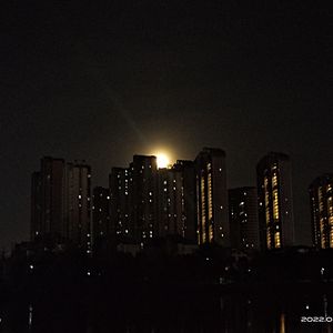 黑武士（prod.茶椰铃）