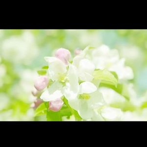 所有奔赴的意义