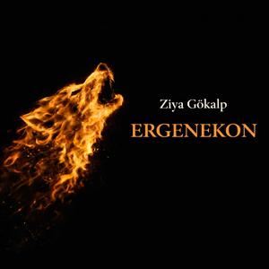 ERGENEKON