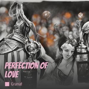 Perfection of Love