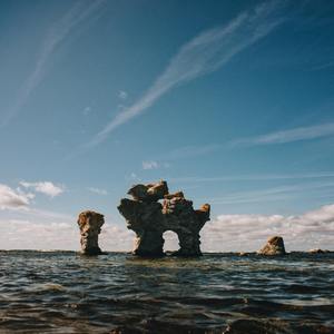 Swimming with the Delphines