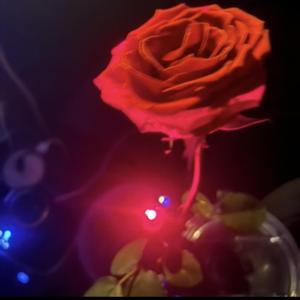 Del rosio de las rosas