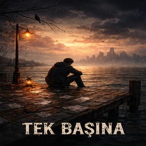 TEK BAŞINA