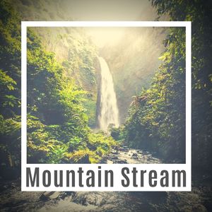 Mountain Stream