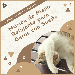 Los mejores sonidos con el canto de los pájaros