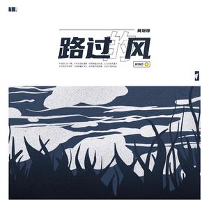 路过的风