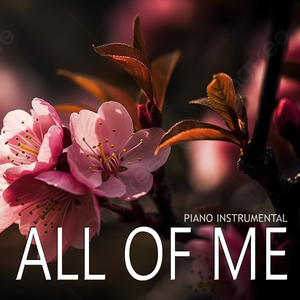 All Of Me - Piano Instrumental (Cover)