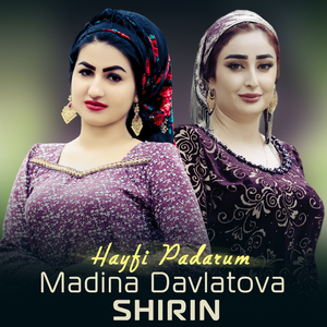 Hayfi Padarum