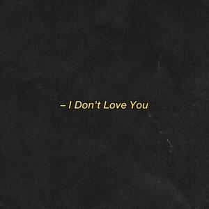 I Don't Love You