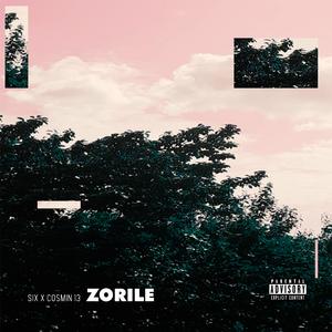 Zorile (feat. Block 888)