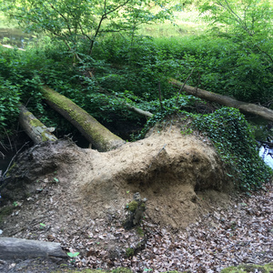 Ich habe hier kein Platz