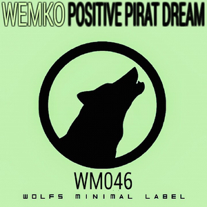 Positive Pirat Dream (Original Mix)