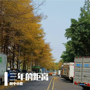 三年的距离-整曲