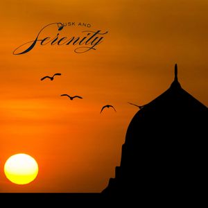 Piano Concerto No. 23 in A Major, K. 488:II. Adagio