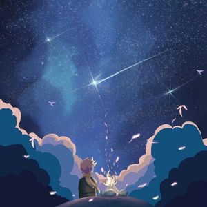 Meteor trail(流星尾迹)