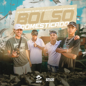 Bolso Domesticado (feat. MC Guel Original, MC Lelo QVG, MC Canapi JM & DJ M4NOBH)