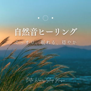 情緒安定・自律神経ケアに効く ストレス解消 熟睡α波 セロトニン促進音楽 (寝落ちのピアノの森)