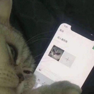 不爱了 发遗书也没有用