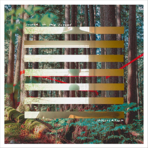 Within the Walls They Tore Down