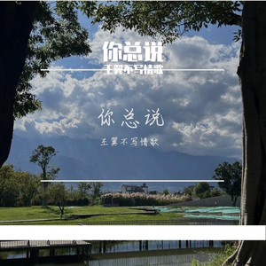 你总说