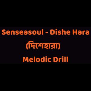 Dishe hara