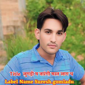 लुगड़ी म नारंगी मस्त लाग च