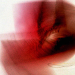 Th Defibite Articlor