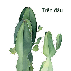 Trên đầu