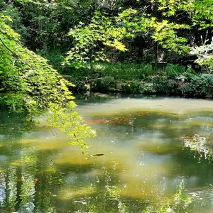 香灰折枝