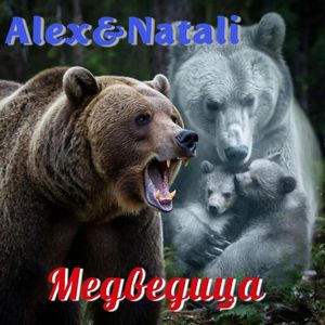 Медведица