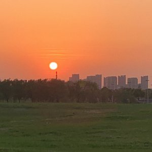 tonight（cover：demxntia）