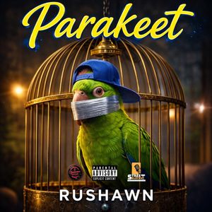 Parakeet