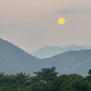 相逢（Piano Version）