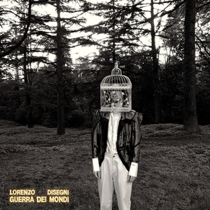 Bunk bed by the woods