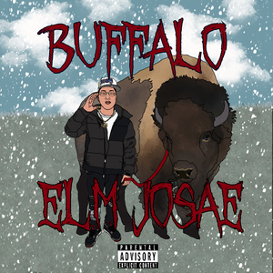 Buffalo