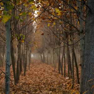 梦记（Prod.Khazs）