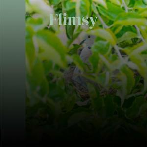 Flimsy