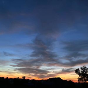 楼顶上的小斑鸠