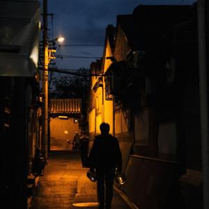 野骥印