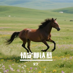 情定那达慕 伴奏