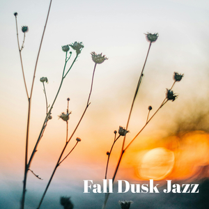 Lingering Glow of Sunset