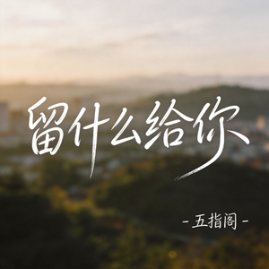 留什么给你（抖音热播版）