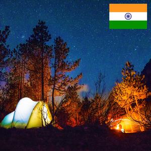 झींगुर ध्वनि के साथ जंगल में कैंप फायर